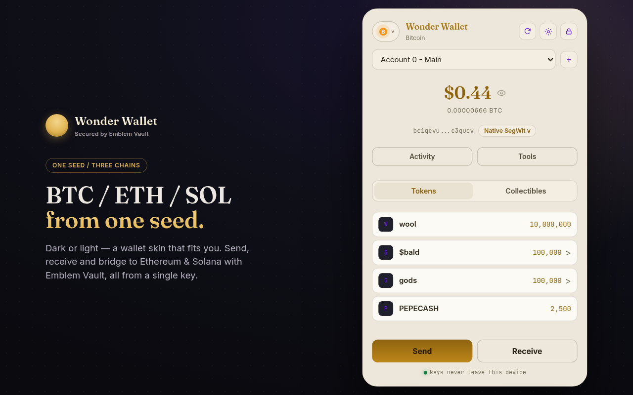 Multi-chain portfolio